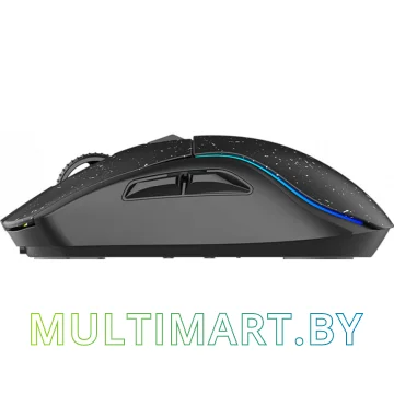 Игровая мышь Dareu A950 (черный) картинка 4